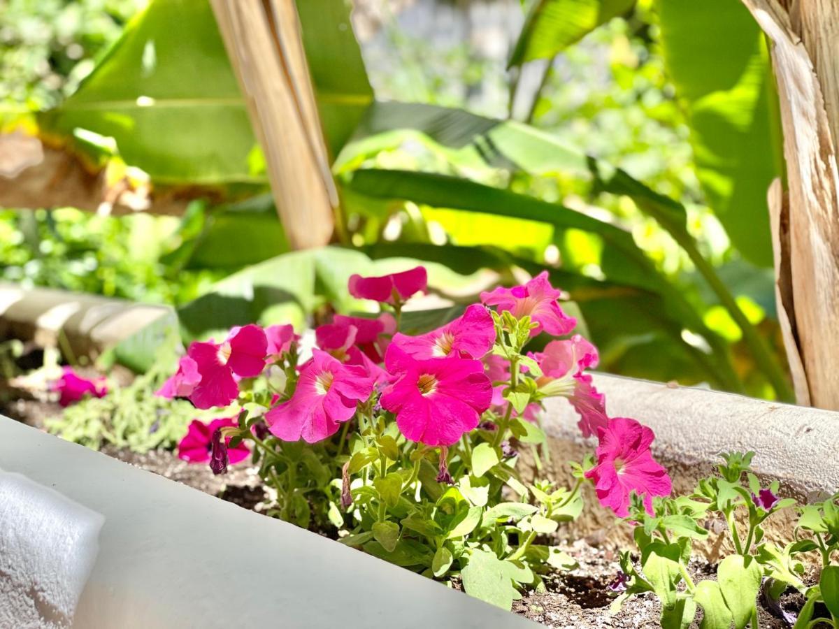 Marbella Real Golden Mile -Eaw Homes Ngoại thất bức ảnh